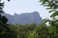 pays cathare juillet 2011