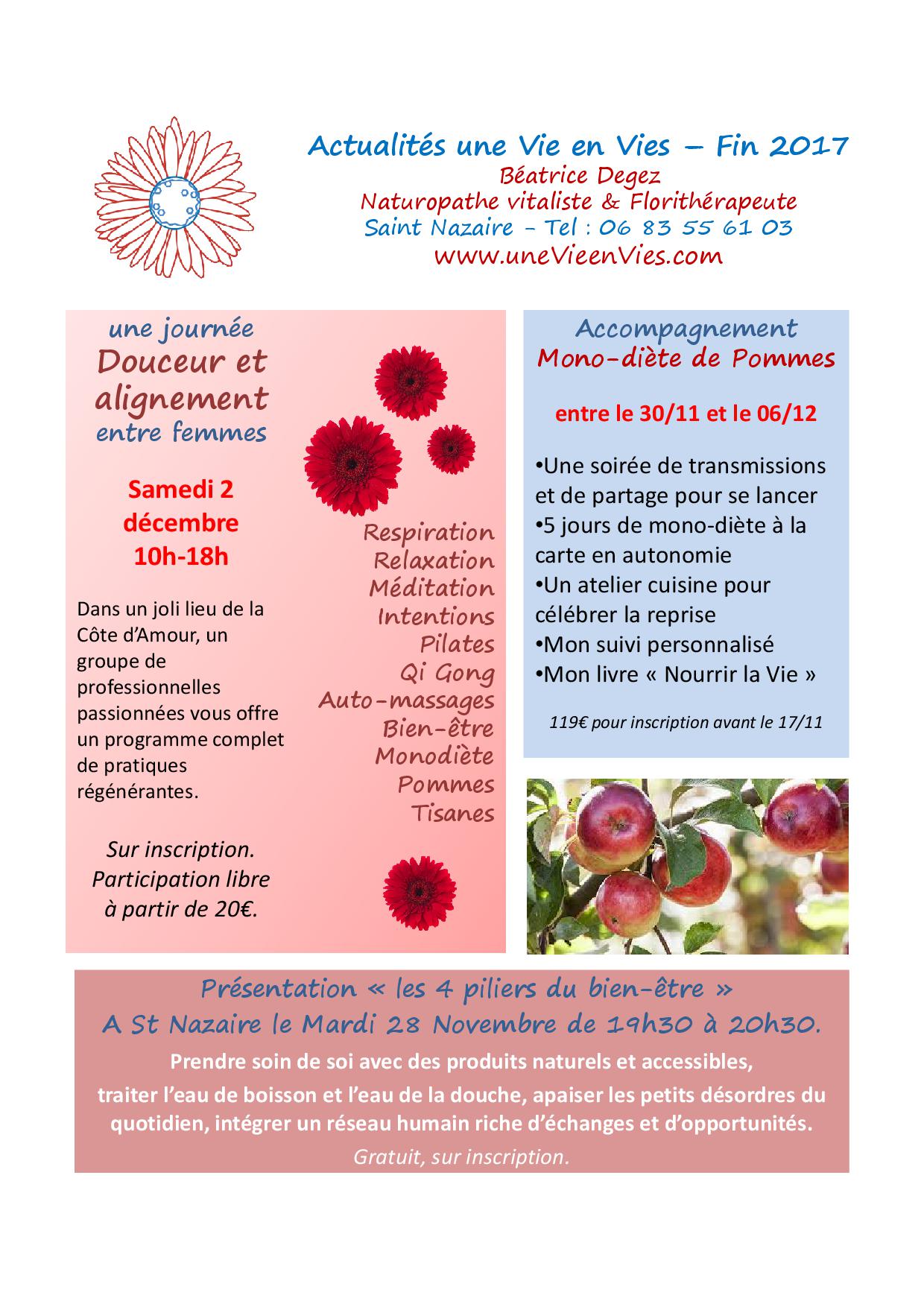 Affiche novembre 2017