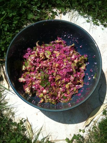 taboule-cru.jpg