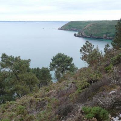 cap de la Chèvre, juin 2011