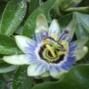 DSC01286.jpg