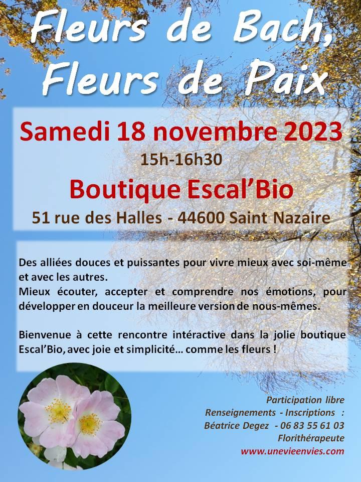Atelier fleurs de bach 231118