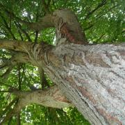 p1060123-1.jpg