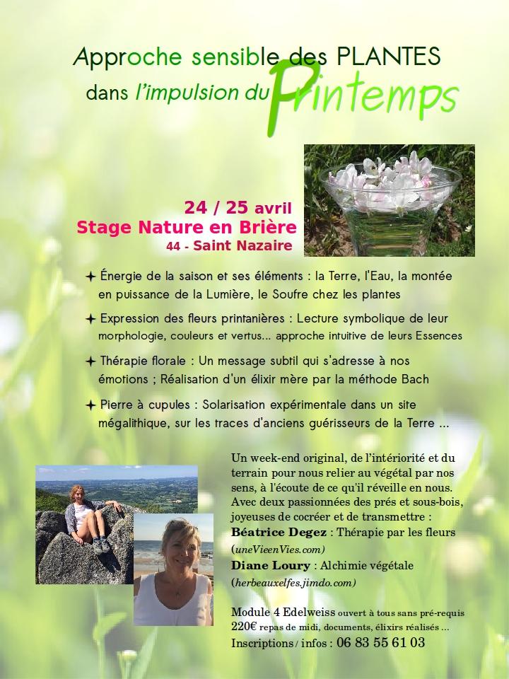 Stage printemps 210424